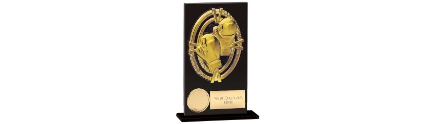 FUSION MAVERICK BOXING TROPHY - 5 SIZES - 12.5CM - 20CM FUSION MAVERICK BOXING TROPHY - 5 SIZES - 12.5CM - 20CM